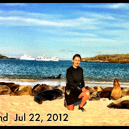 Betbrush's profile picture. 