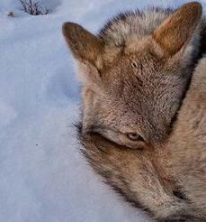 emelcama's profile picture. 