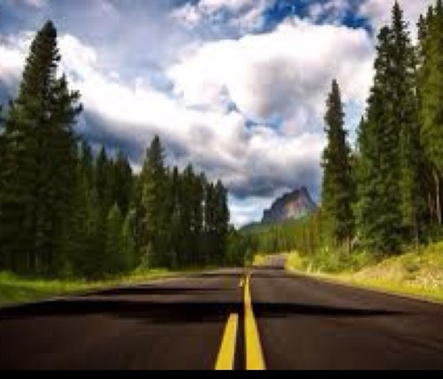 PavedWithDrive's profile picture. 