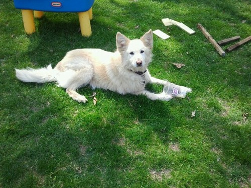 heymom2012's profile picture. 