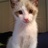 AnnaPaolinelli1's profile image