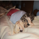 Laura Rafter - @sweets4667 - Twitter