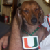 Chris Tibbetts (@christibbetts13) Twitter profile photo Chris Tibbetts (@christibbetts13) Twitter profile photo