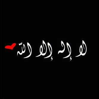 nwnw_q8 Profile Picture