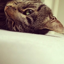 LillieundLouis's profile picture. 