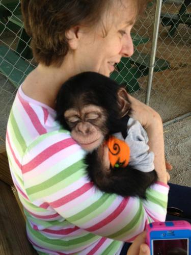 Mom and Grandma- everything else, including various other obsessions, comes second.