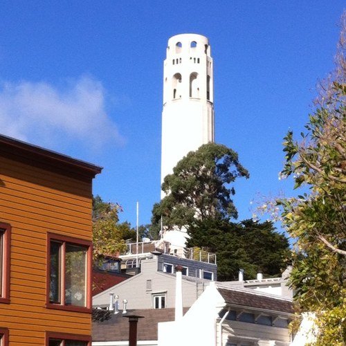 katiebabygoose's profile picture. taking the right of way in traffic and in life