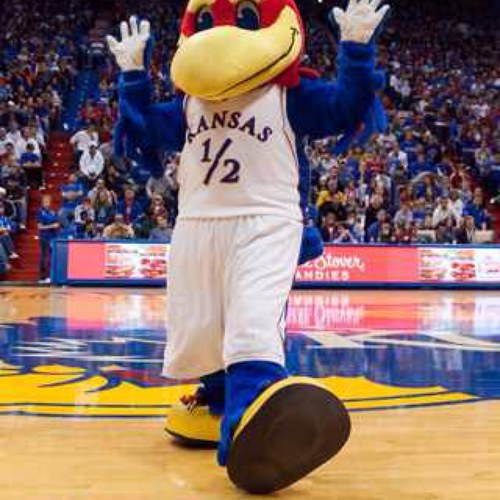 Occupational therapist, mom, wife, and Jayhawk for life!