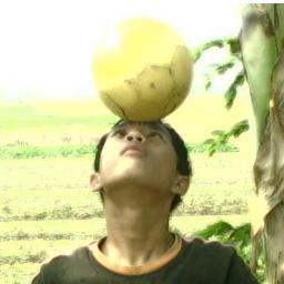 Adit_Septian's profile picture. Do your best now. Because it would be worse if regretting the past and worrying about the future