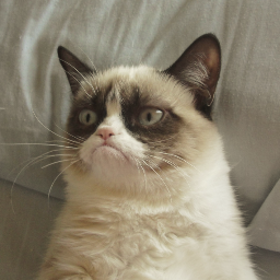 I am one very grumpy cat.