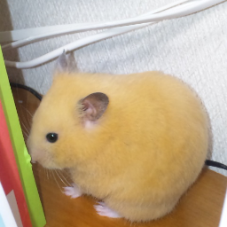 えむあい