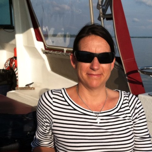 CSchellDC's profile picture. 