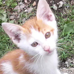 sinsan46's profile picture. 矢沢永吉のファンで理容師です。
よろしくお願いします。
リチャード・コシミズ氏の著書、ブログ、HP、動画等で世界の闇勉強中。