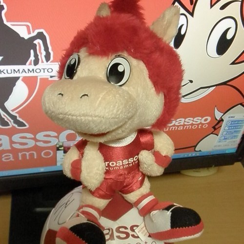 ロアッソ熊本ゴール裏にいるマスコットスキーでございます。目指せJ1!Come On Rosso!無言フォロー失礼いたします。
