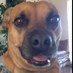Garrett Anderson (@garteguy101) Twitter profile photo