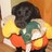 OSUBeaverFan's profile image