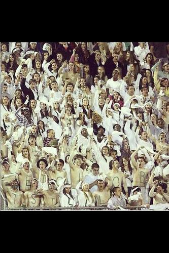 Frondorf123's profile picture. follow me on my second account @Original_Fron