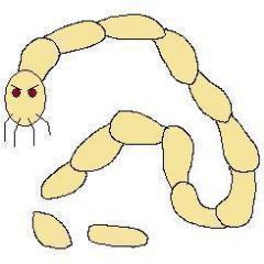 TapewormInCats's profile picture. 