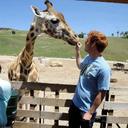 Andrew Gier - @andrewtheginge - Twitter