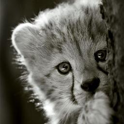 I am What i am....