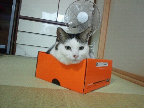 deppnogo's profile picture. 