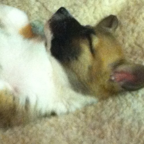 brockergirl's profile picture. 