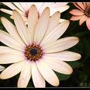 Faith Hurst - @LoveYourself122 - Twitter