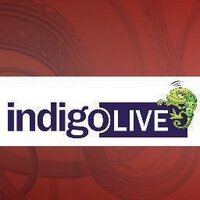 Indigo Live (@liveindigo) 's Twitter Profile