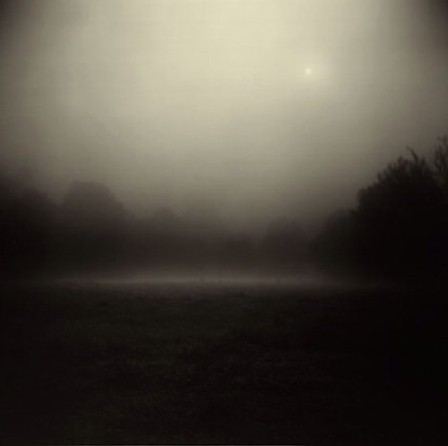 Crookedhouseart's profile picture. Art