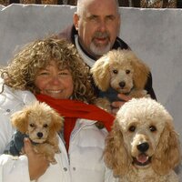 Andra (@sunnfun4me) 's Twitter Profile