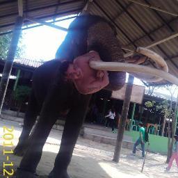 AdamOConnor1985's profile picture. 