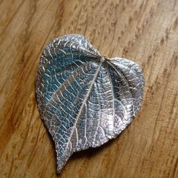 SilverMemos's profile picture. Beautiful and innovative bespoke pure silver jewellery, including stunning pieces made using leaves & petals from bridal bouquets. http://t.co/QrVVl4Ie