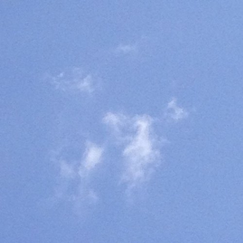 Louislemexicain's profile picture. 