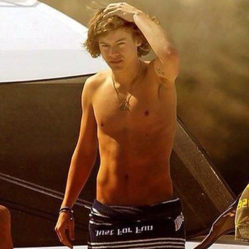 I'm a fan of @ justinbieber and @ onedirection. they are my fucking life, forever.smmdlskakak 0/5 follow me.