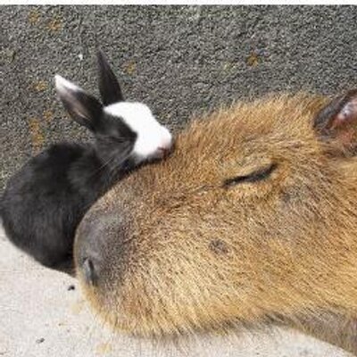 medium_ocean's profile image