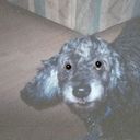 Daniel Daugherty - @DanielDaugher10 - Twitter