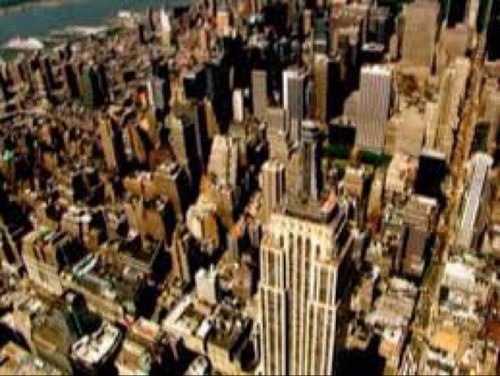 ZGalli's profile picture. 