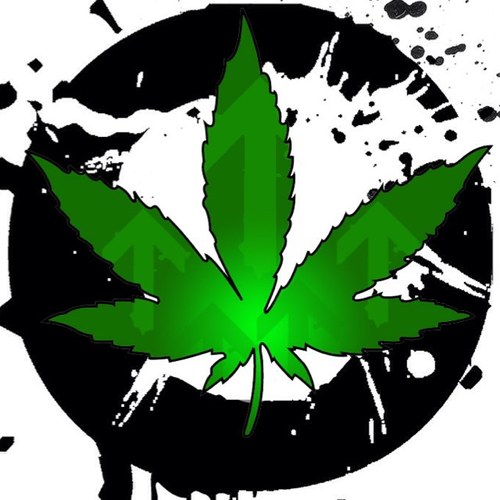 CannabisFAQ's profile picture. Frequently asked questions about cannabis, helping to clear up misinformation with evidence based fact, and dispelling myths, stigma, and taboo. Ask a question!