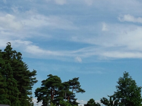 safebot12's profile picture. 自分の気持ちや相手に伝えたい気持ちをbotにします。共感していただけたらリツイートお願いします♪