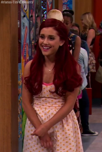 Bffkittycat's profile picture. Hey its me cat , I love cupcakes and bibble , taken by : @robbieshapiro11 we haves a baby named ariana