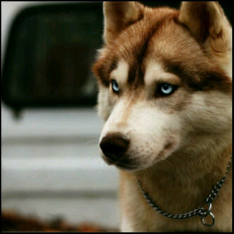 fahd202144's profile picture. 