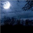 Eileen Rhoads - @EileenRhoads84 - Twitter