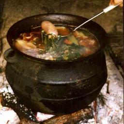 llevo cocinando desde hace más de 30 años y mi familia disfruta con mi comida por eso quiero divulgar mis recetas