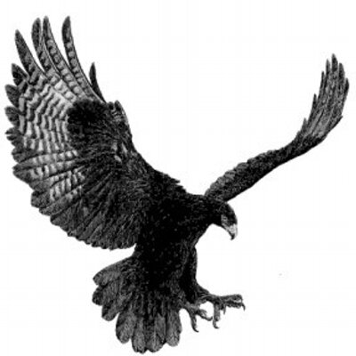 النسر الأسود Theeagle75 Twitter