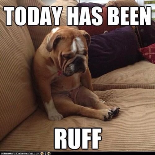 RobotCh1cken's profile picture. 