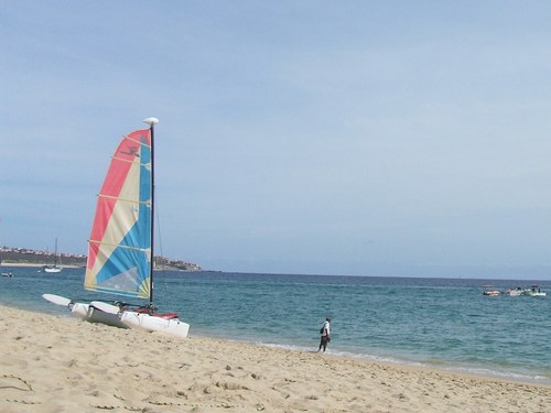 SAULINO2's profile picture. ASHLEY & TONY SAULINO - WHAT WE'RE UP TO