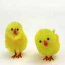 Zoe Chick - @zoeclairechick - Twitter