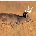 carter bonds - @cbonds57 - Twitter