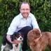 Dr Lewis Kirkham (@vetbehaviourist) Twitter profile photo