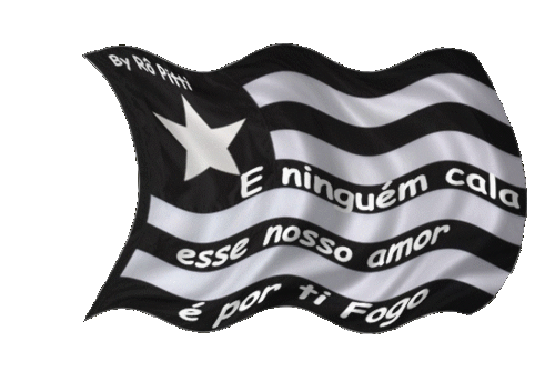 Tudo sobre o Glorioso Botafogo de Futebol e Regatas do RJ